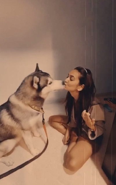 Kriti bakes birthday cake for Pulkitâ€™s pet Drogo.