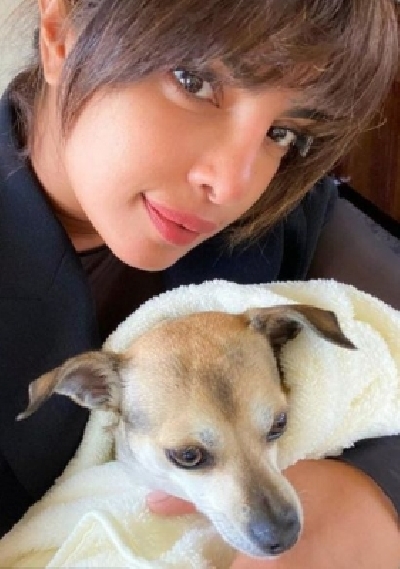 Priyanka Chopra Jonas reveals who her Priyanka Chopra Jonas reveals who her