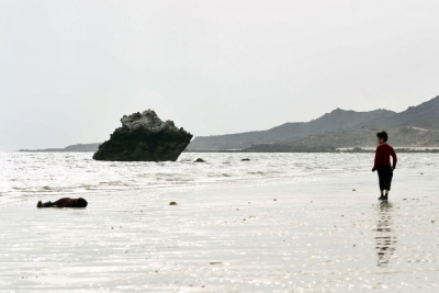 The Little Refugee to be screened at Sao Paolo film fest. The Little Refugee to be screened at Sao Paolo film fest.