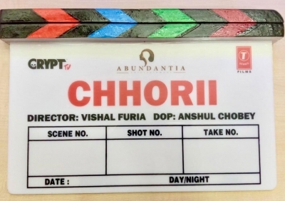 Nushrratt Bharruccha starts shooting for 