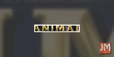 Ranbir Kapoor announces new film 'Animal'