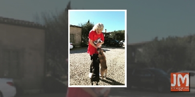 Lady Gagaâ€™s dogs return unharmed