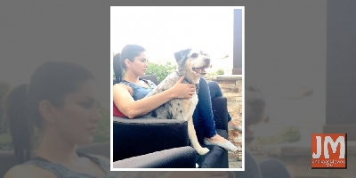 Bollywood celebs who chose to adopt, not buy pets