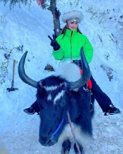 Urvashi Rautela poses on yak to celebrate 35 million Instafam.(photo:Instagram) Urvashi Rautela poses on yak to celebrate 35 million Instafam.(photo:Instagram)