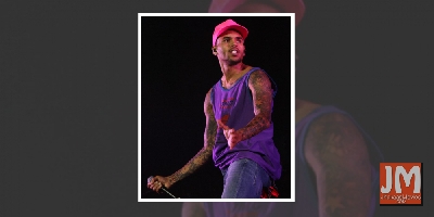 Chris Brown sued by housekeeper after pet dog attack