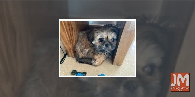 Adivi Sesh has a new 'mighty' member in his family