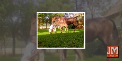 Randeep Hooda names newborn foal Hope after his mother Asha