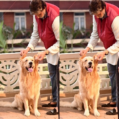 Big B shares picture posing with his 'co-star'.(photo:Instagram)