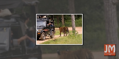 Do's and don'ts while planning a wildlife safari