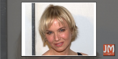 Renee Zellweger says not playing sexy roles aided in her success